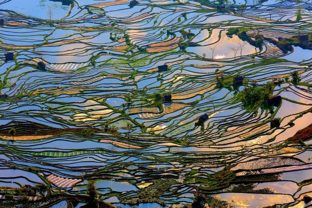 暑假想去云南旅游，有哪些旅游城市可以推薦