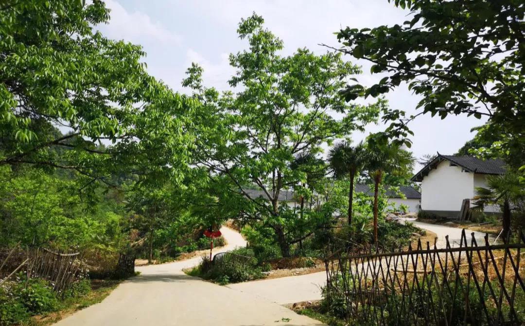 云南鄉村旅游，“玩”出特色！德宏：打好發展組合拳