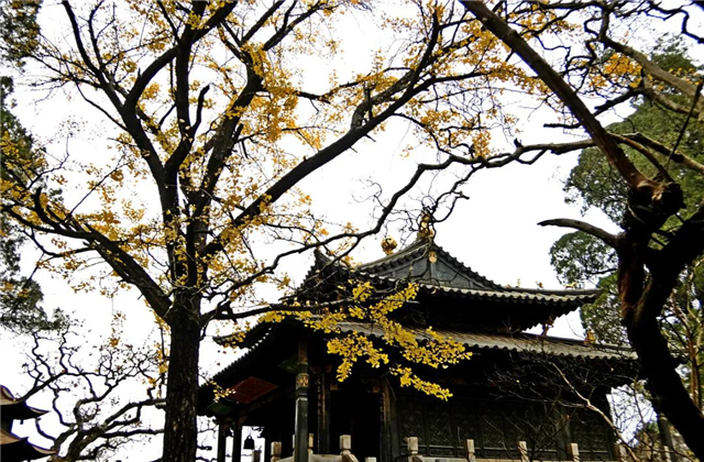 云南傳媒公司：在云南，聽說古鎮和秋天更配