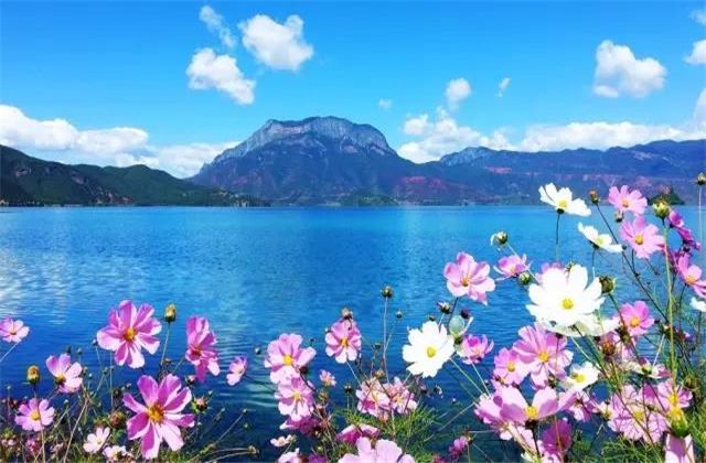 云南旅拍地推薦：七月的瀘沽湖，竟然可以美成這樣！