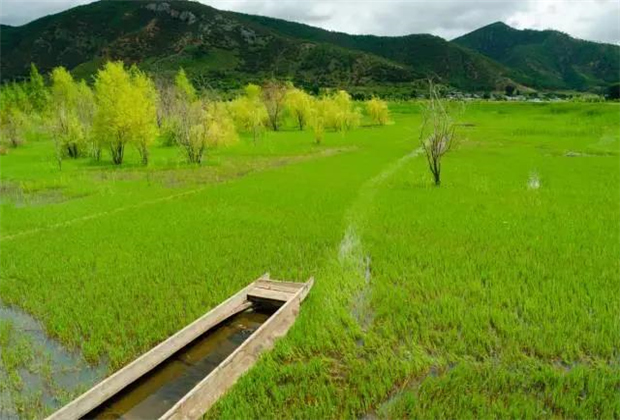 云南會展策劃：關于瀘沽湖的好風景，都想與你分享！