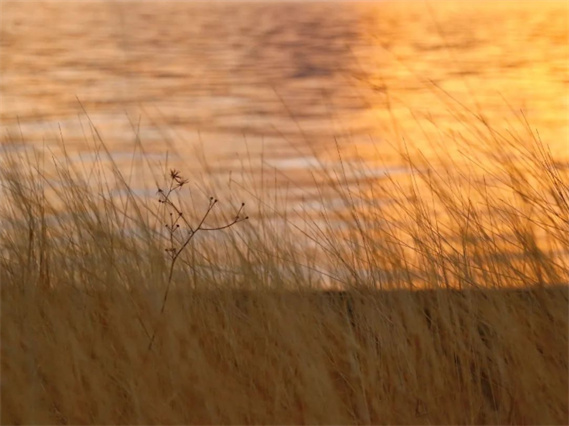 醉美，湖光山色云南永勝程海湖！