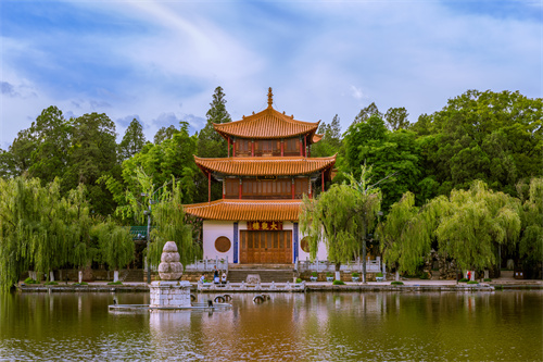 春暖四時，花開昆明，感受春城初春之美！